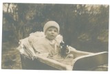 2379 - Prince MIRCEA, Regale Royalty, Romania - old postcard - unused
