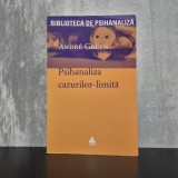 Andr&eacute; Green - Psihanaliza cazurilor-limită | cazuri-limită, psihanaliză contemporană, Andr&eacute; Green