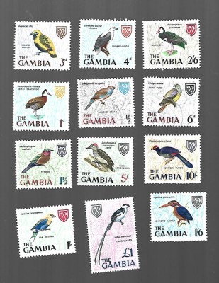 gambia pasari incomplecta sarniera foto