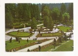 RF216 - Carte Postala - Borsec. Parcul Central, circulata 1970