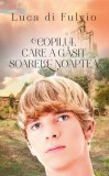 Copilul care a găsit soarele noaptea - Hardcover - Luca Di Fulvio - RAO