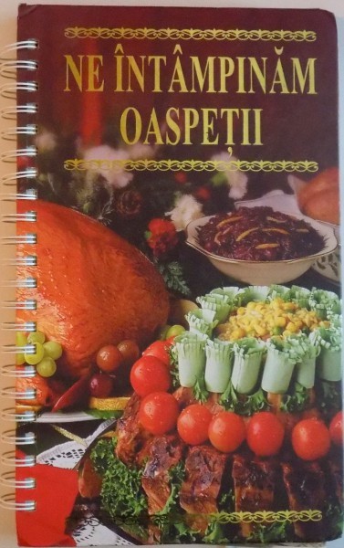 NE INTAMPINAM OASPETII de OXANA UZUN, 2010