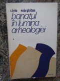 Banatul in lumina arheologiei, vol. I - Liviu Marghitan