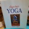 ANYCHAIR YOGA/DANIELA SIMINA/ 2012 * 8