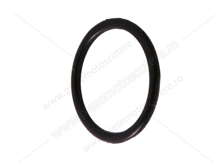 O-ring capac carcasa