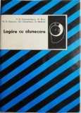 Lagare cu alunecare &ndash; V. N. Constantinescu - Carte, Roman