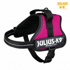 Ham Julius-K9 Mini-Mini S 40-53 cm 22 mm Fuchsia(Mov) 15018