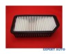 Filtru aer w Hyundai i20 (2008-&gt;) #1, Array