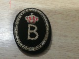 QW14 - Emblema militara - straina - insemne regaliste