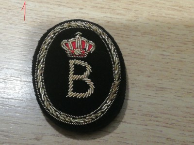 QW14 - Emblema militara - straina - insemne regaliste foto