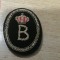 QW14 - Emblema militara - straina - insemne regaliste