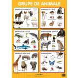 Animale. Planse educationale |