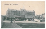 390 - CERNAUTI, Bucovina, Market - old postcard - unused, Necirculata, Printata