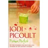 Jodi Picoult - Picture Perfect - 111998
