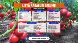 Rasaduri * Rasad rosii prekos inima de bou rila castraveti ardei etc 2025