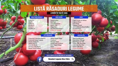 Rasaduri * Rasad rosii prekos inima de bou rila castraveti ardei etc 2025 foto