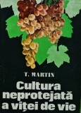 Cultura neprotejata a vitei de vie - 1978 - T. Martin (V205)