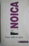 Intre suflet si spirit. Publicistica, II (1930 &ndash; iunie 1934) &ndash; Constantin Noica