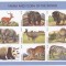 LESOTHO-Fauna-bloc cu 9 timbre nestampilate