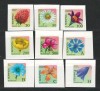 Belarus 2002 Mi 455/56 + 462/63 + 467/69 + 471/72 MNH - Flori, Nestampilat