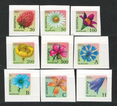 Belarus 2002 Mi 455/56 + 462/63 + 467/69 + 471/72 MNH - Flori foto
