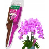 Ingrasamant pentru orhidee Biopon elixir duo, lichid, capacitate 35 ml, stimuleaza inflorirea indelungata