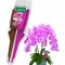 Ingrasamant pentru orhidee Biopon elixir duo, lichid, capacitate 35 ml, stimuleaza inflorirea indelungata