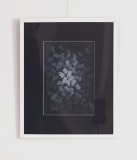 Bogdan Tanase Marinescu - Abstractie caligrafica, 2025