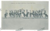 904 - CIRCUS Dressage of the Royal Romanian Circus Cesar Sidoli, Romania - old postcard - unused