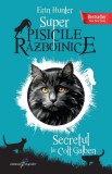 Super Pisicile Razboinice Vol.6: Secretul lui Colt Galben, Grupul All