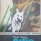 ADIO RINGO-TRAIAN TANDIN-267945
