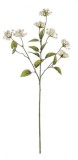 Set 12 flori artificiale crem Lantana 66 cm