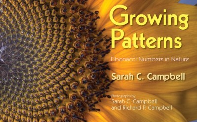 Growing Patterns: Fibonacci Numbers in Nature foto