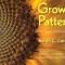 Growing Patterns: Fibonacci Numbers in Nature
