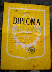 Diploma Pionier de Frunte foto
