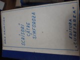 Cumpara ieftin Scrisori catre Simforoza - Gala Galaction