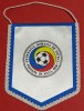 Fanion (anii 2000)-Federatia de Fotbal din Romania-Comisia Centrala de Arbirti(dimensiuni 13x10 cm)