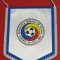 Fanion (anii 2000)-Federatia de Fotbal din Romania-Comisia Centrala de Arbirti(dimensiuni 13x10 cm)