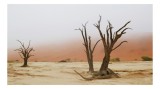 Tablou Canvas, "Pustietatea tăcută a deșertului arid", Ariditate, Deșert, Copaci, Solitudine, Ceață, Peisaj, Natură, 39 x 26 cm, CMCLASS
