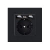 Priza Techstar PCU1, 2 USB, 2.1A, 16A, Negru, Policarbonat, Incastrata, Protectie Suprasarcina