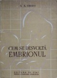 Cum Se Dezvolta Embrionul - G.A. Smidt, 1953, Editura de Stat, Biologie, 253 Pagini, Romana, Necartonata