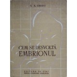 CUM SE DESVOLTA EMBRIONUL-G.A. SMIDT-236246