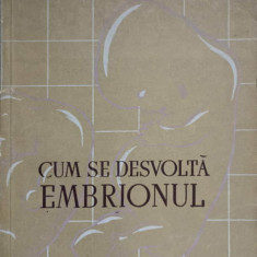 CUM SE DESVOLTA EMBRIONUL-G.A. SMIDT