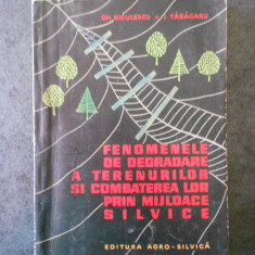 GH. NICULESCU - FENOMENELE DE DEGRADARE A TERENURILOR SI COMBATEREA LOR