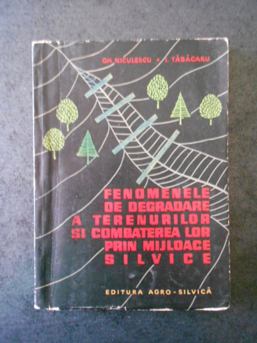 GH. NICULESCU - FENOMENELE DE DEGRADARE A TERENURILOR SI COMBATEREA LOR