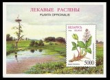 BELARUS 1996 PLANTE MEDICINALE, Nestampilat