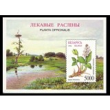 BELARUS 1996 PLANTE MEDICINALE
