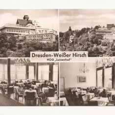 SG6 - Carte Postala - Germania Dresden, Weisser Hirsch, Necirculata 1961