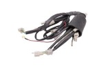 Instalatie electrica ATV Barton Eagle Cod Produs: MX_NEW IELTTA010