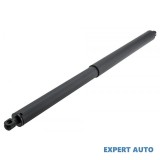 Amortizor haion dreapta spate Opel INSIGNIA B (2017->)[Z18] #1